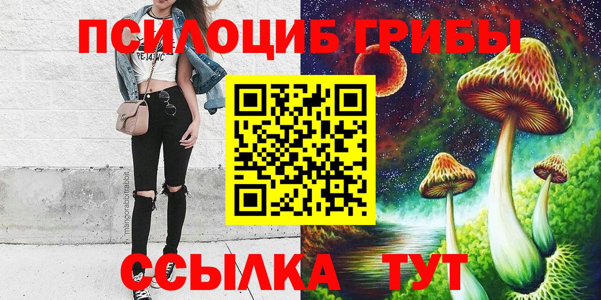 Дубна  Галлюциногенные грибы Magic Shrooms  Псилоцибиновые грибы Psilocybine cubensis  Вход с VPN 