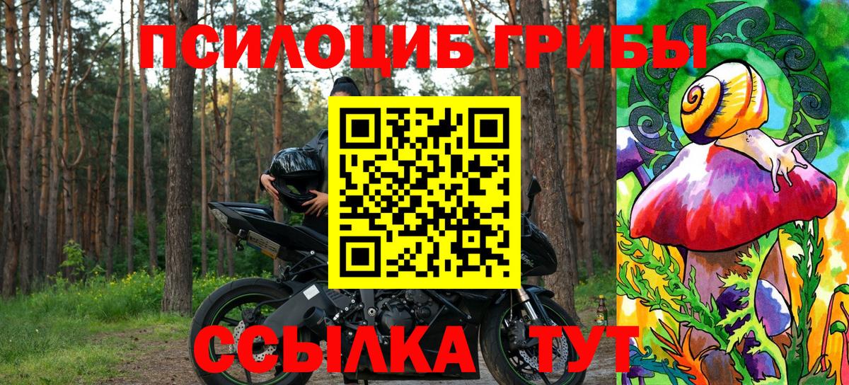 Псилоцибиновые грибы Psilocybine cubensis Дубна